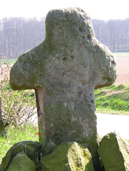 Partnersuche schwalm eder kreis